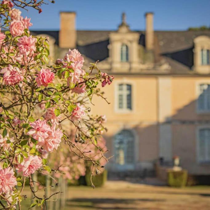 Chateau D'Ardenay Sur Merize Extérieur photo